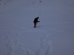 L&#039;Ouille Allegra